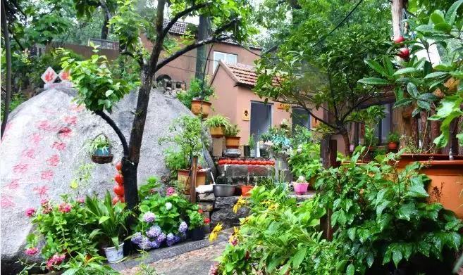 最美沂蒙山小山村,沂蒙山区网红