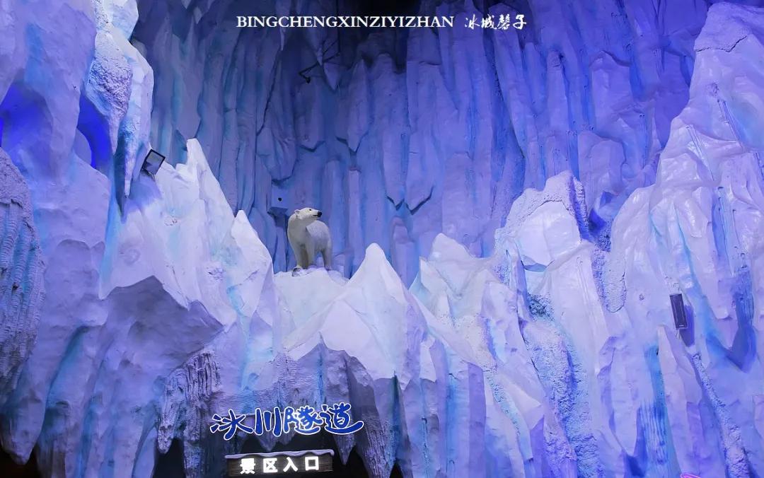 走进哈尔滨完整视频,走进哈尔滨海洋馆