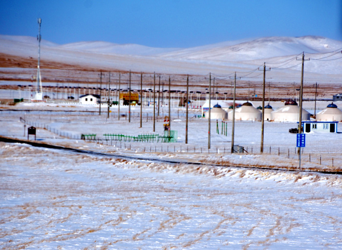 内蒙古狼旅游,内蒙古狼族自驾游视频