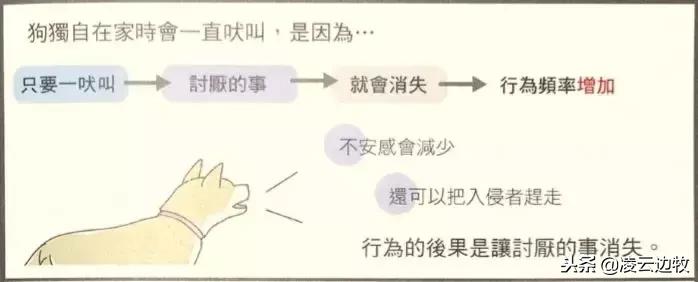 如何解决狗狗自己在家的叫唤,怎么纠正狗狗出门乱叫