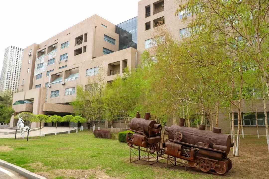 辽宁大学和鲁迅美术学院,辽宁省鲁迅美术学院是985吗