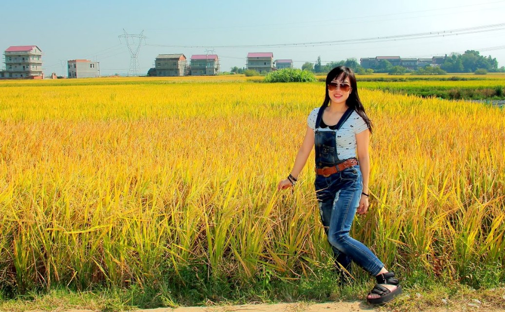 成语首尾接龙大全集,成语接龙巧记20个成语