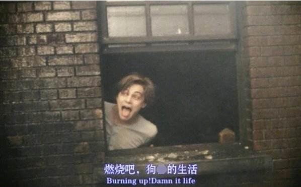 夸夸群的感受,如何看待夸夸群走红