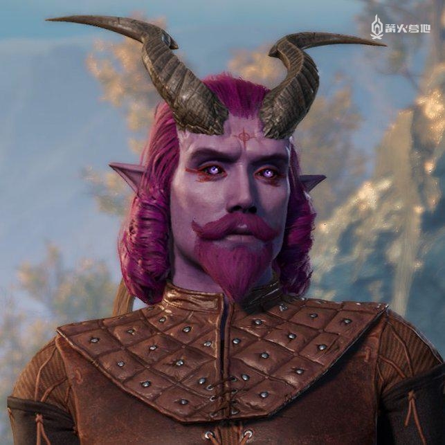 博德之门3目前版本号,博德之门3听取玩家意见么