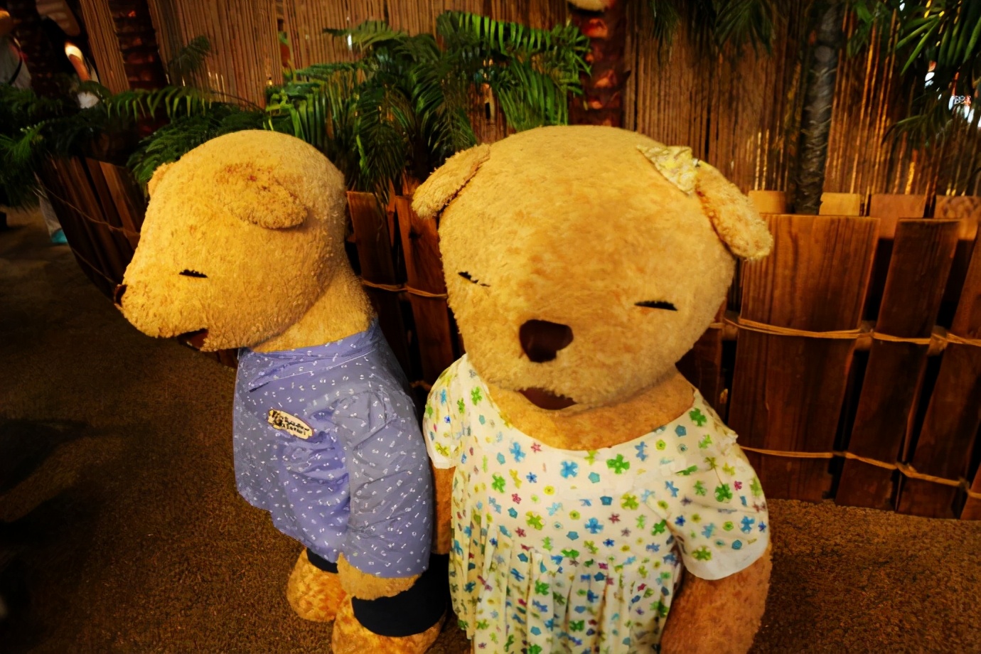 济州岛泰迪熊博物馆,济州岛泰迪熊博物馆圣诞节