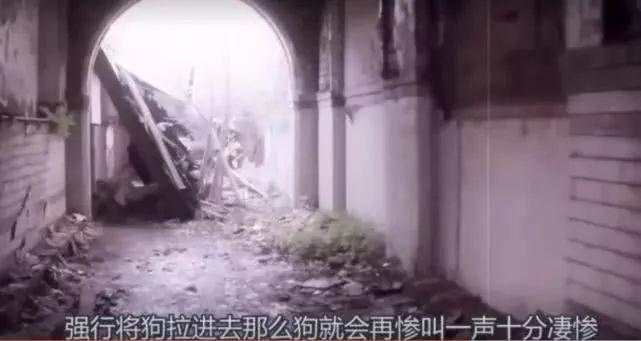 走近科学童年阴影,童年阴影走近科学停播了吗