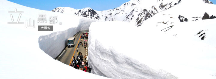 不去韩国和日本旅游去哪里,大阪和名古屋哪个离东京近