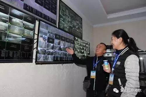 圣牧高科全程有机奶,圣牧高科天赋之旅