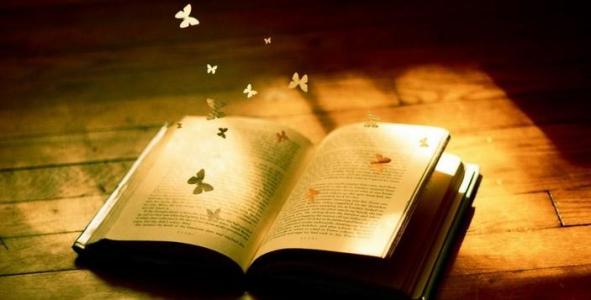 本科本的意思,本科批中的本科是什么意思