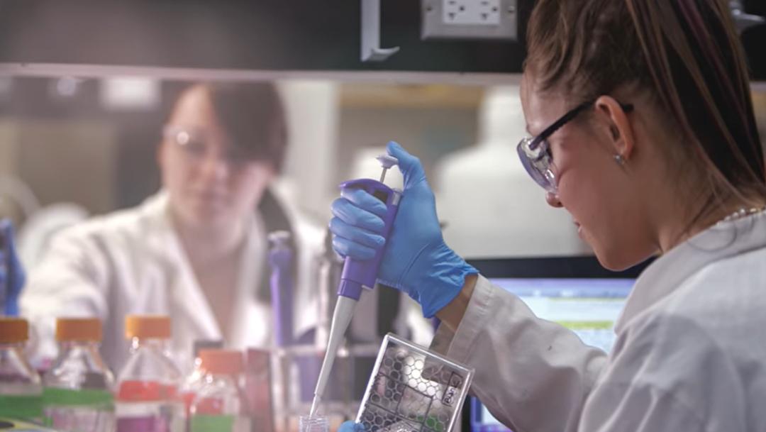 世界最好的野鸡大学,国外有哪些学校听着像野鸡大学