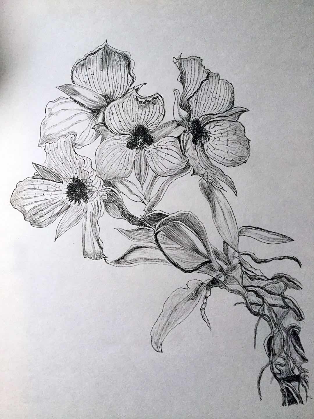 幸福原创画吧,幸福画吧画友作品展示