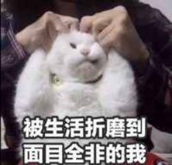 “菊花一紧”,痔疮手术记录