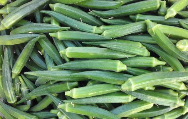 秋葵花国画,秋葵花也如此的美丽