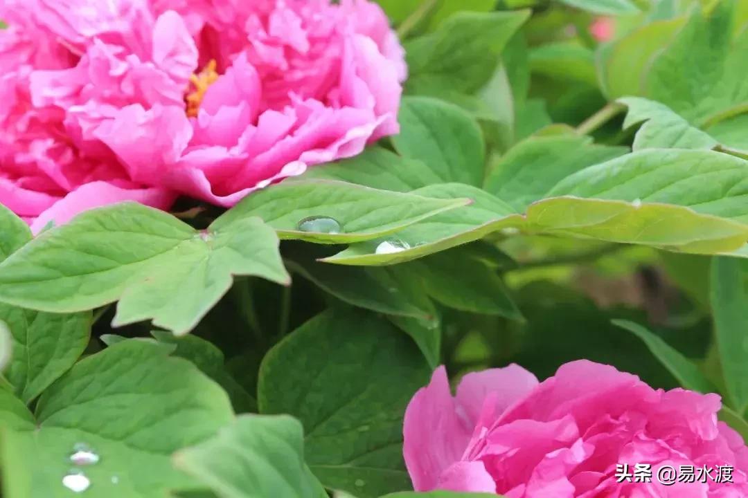 易县狼牙山小火车,河北保定易县火车