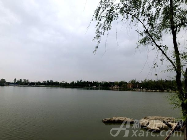 阜阳同异玫瑰庄园房价,阜阳颍东同晟玫瑰庄园左岸二手房