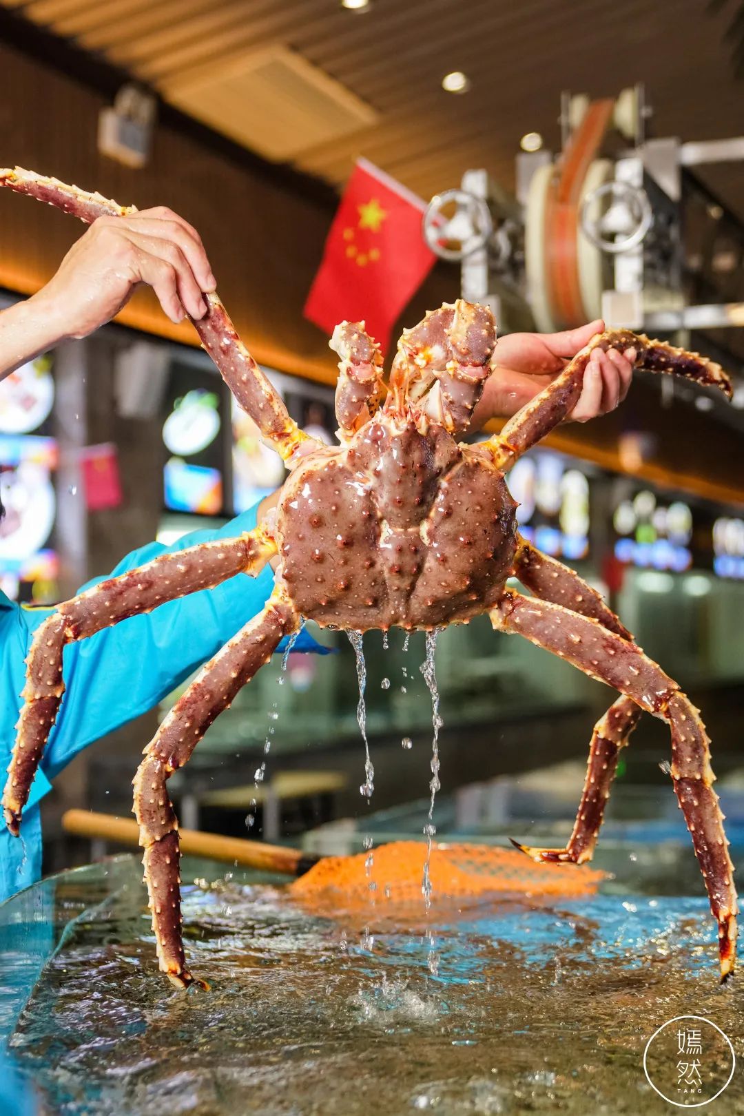 驶入厚街的「海鲜巨舰」,秋日鲜味来袭