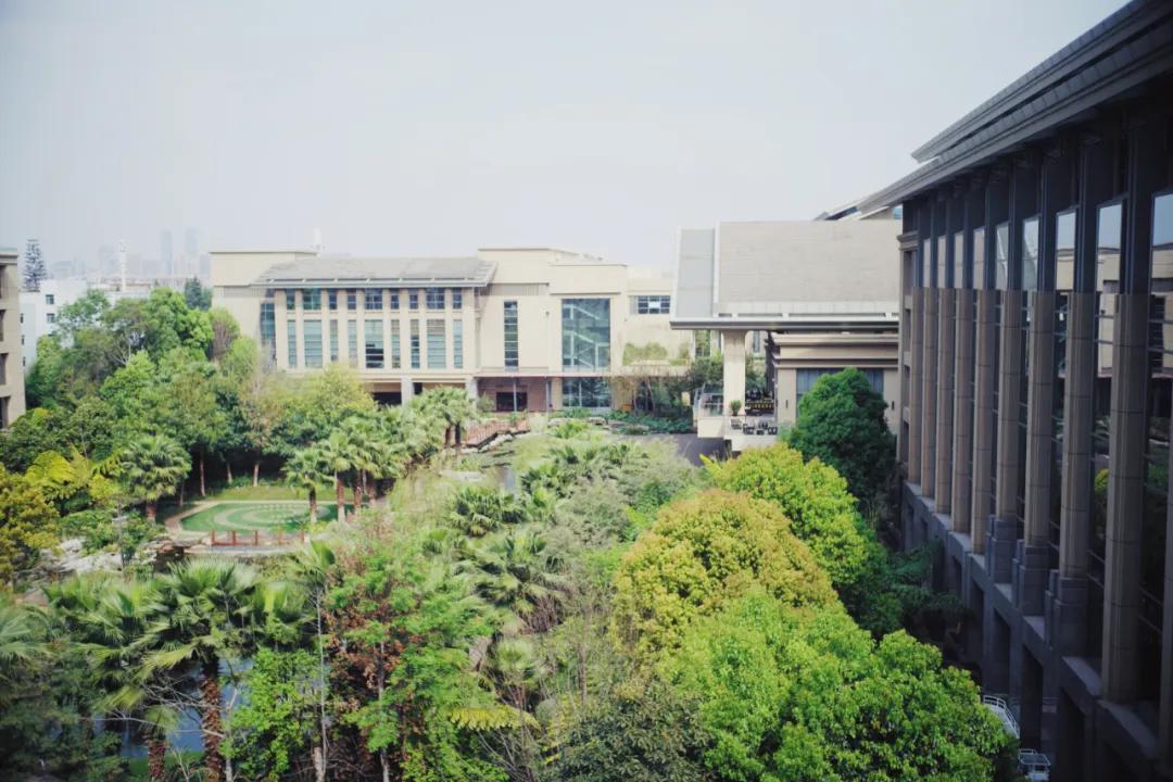 出发四季如春之地昆明,云南昆明攻略冬天