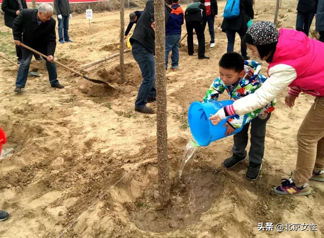 最美书香家庭分享,最美分享