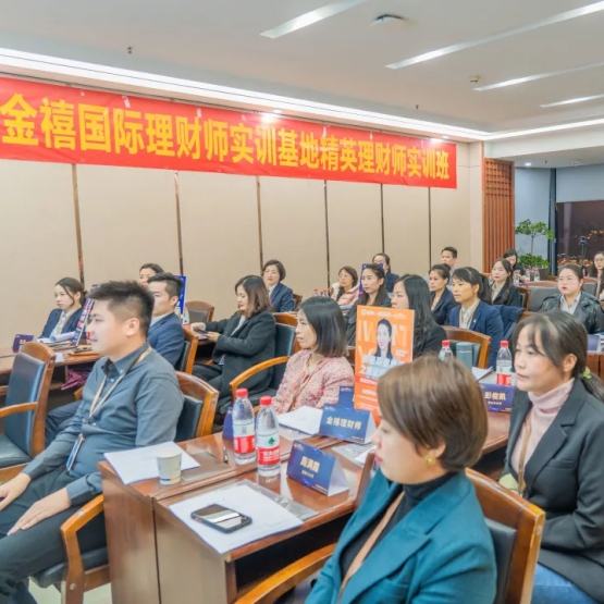 盛大金禧是怎么做到的,盛大金禧底层逻辑