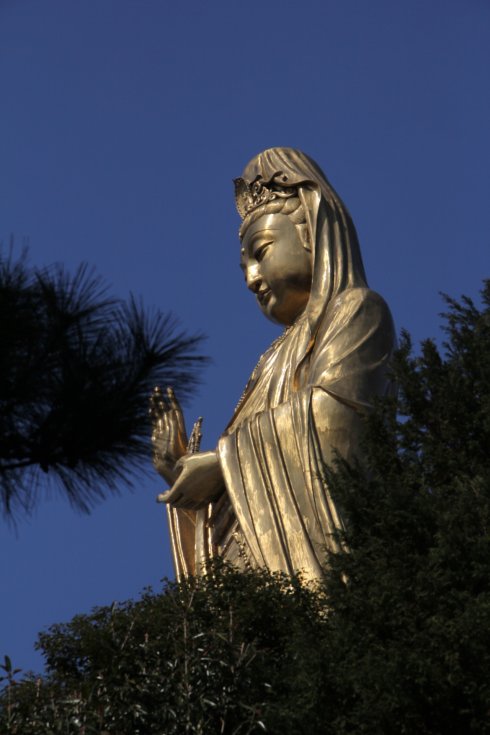 观音显灵的事件,观音显灵有多厉害