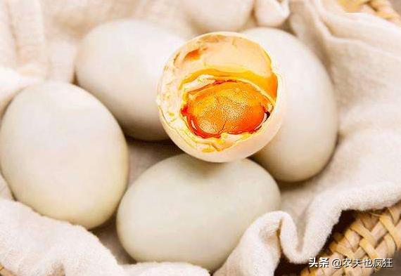 广西北部湾红树林海鸭蛋央视,广西红树林海鸭蛋视频