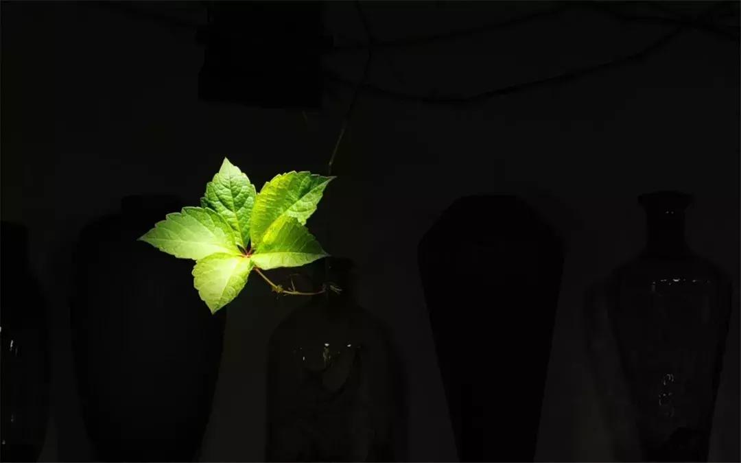 卡尔荣格说,卡尔荣格人生四个阶段