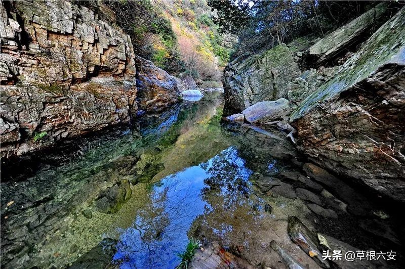 谢谢你来了全集,谢谢你医生