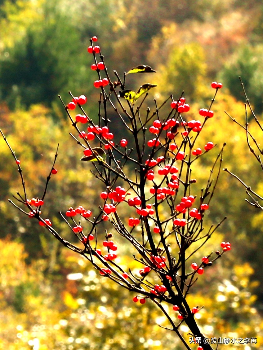 深藏在太行山中的古村落竹林沟,深山沟里的绝世古村