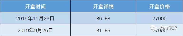 今日圈存！24套！390万起，光谷年度TOP神盘年后首推叠墅！