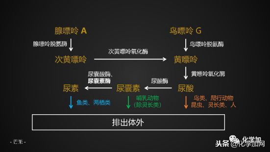 喝酒后手指关节疼怎么回事,喝酒对腿关节疼有影响吗
