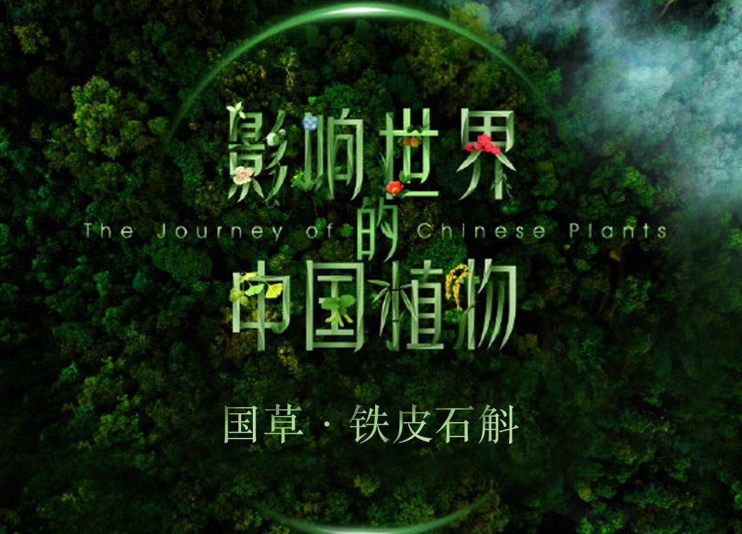 别人有口臭你怎么告诉他,我该不该告诉好朋友他有口臭