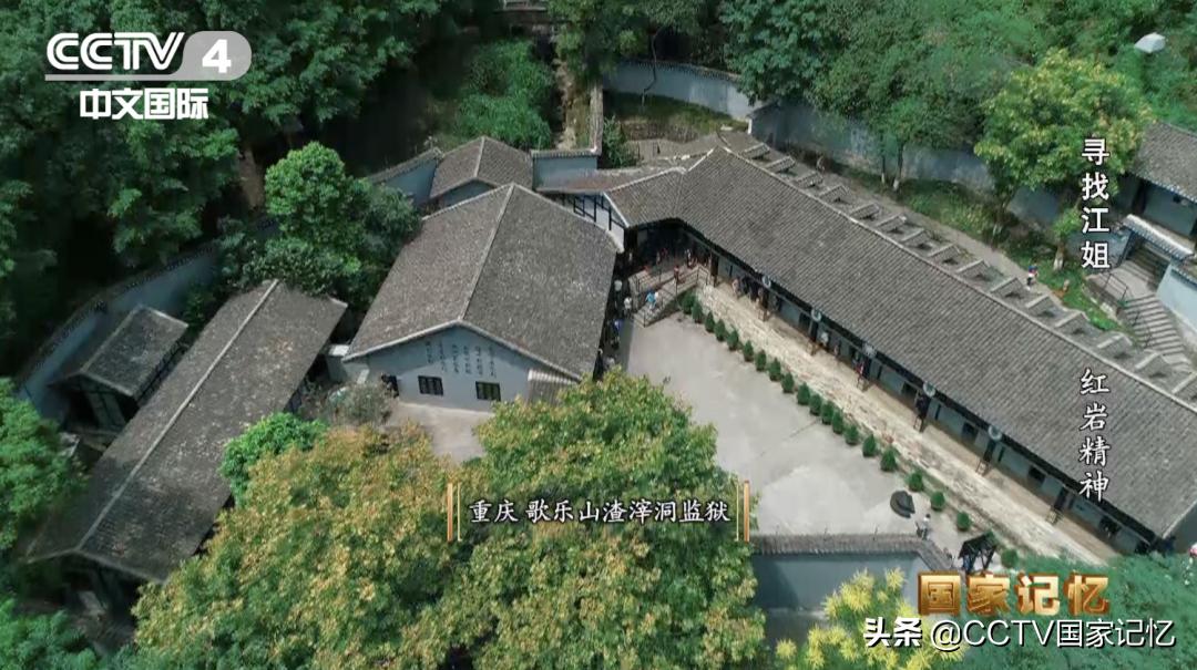 闈炰汉鎶樼（灏忚,闈炰汉鎶樼（