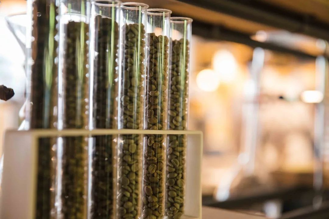 墨尔本旅行游记,墨尔本旅游之旅