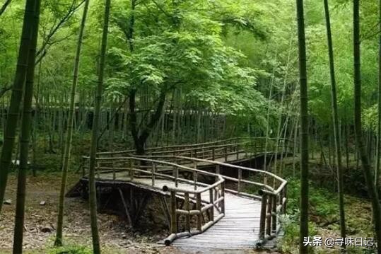 象山影视城半价,宁波旅游好消息