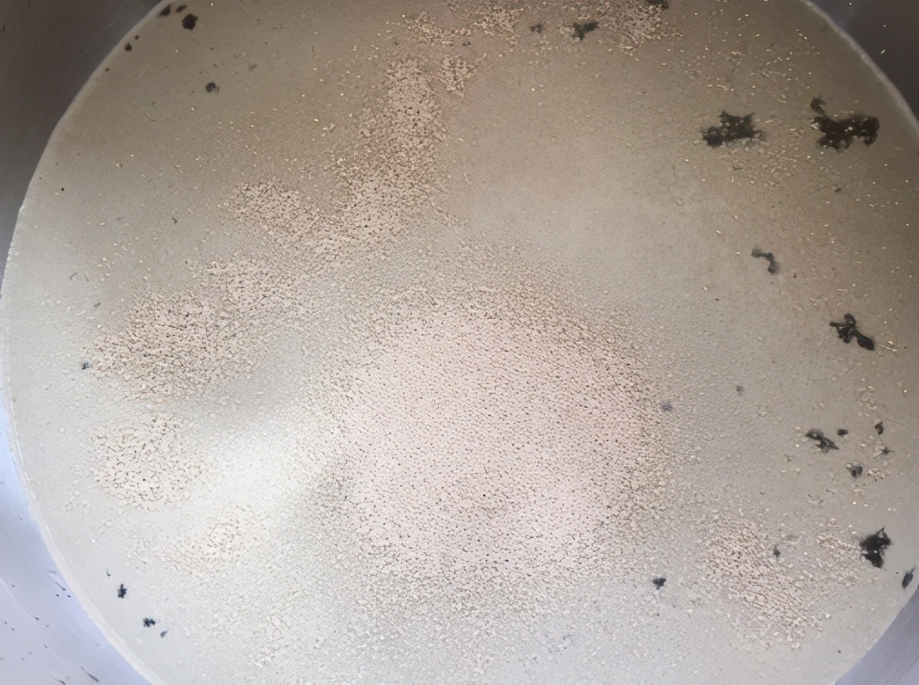 蒸包子和面要加酵母吗,蒸包子如何和面发得更快