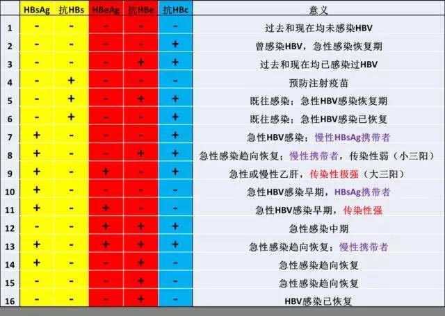 关于乙肝的6个真相你知道吗,乙肝科普小知识