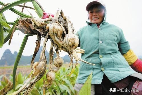 含有天然叶酸的食物,这五种食材天然叶酸高