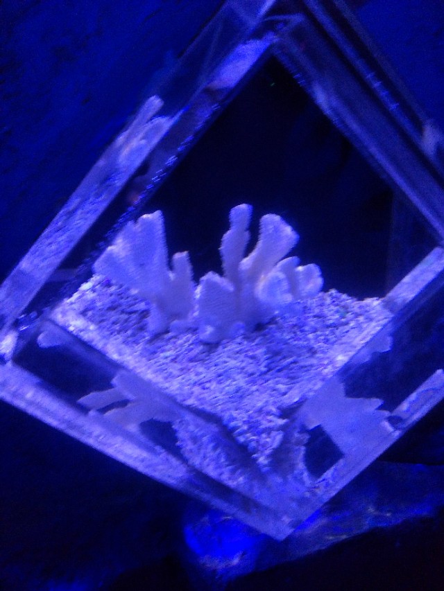 抚顺皇家海洋乐园冲浪馆图片,抚顺皇家极地海洋乐园视频