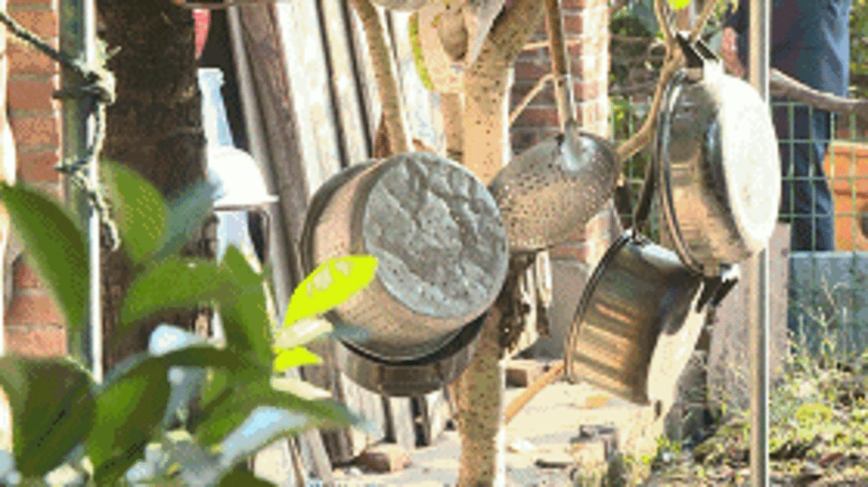 中国首位女空降兵捐款千万,中国首位跳伞女兵再捐七百万