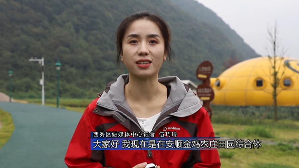 打卡金鸡山霞贯农庄,金鸡农场田园风光