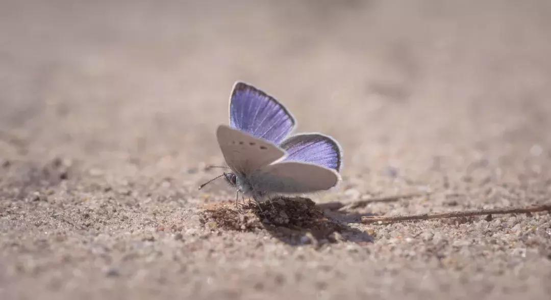 宜宾不为往事扰只为余生笑,不为往事只为余生诗词