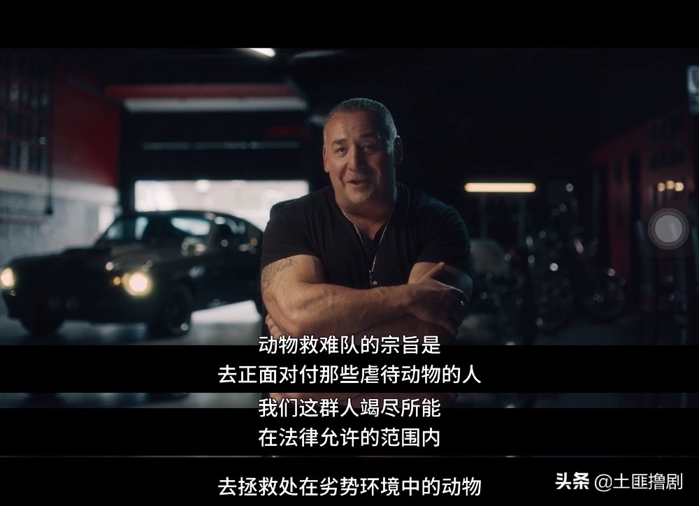 有的剧,别让家里的喵星人看,这部的尺度两脚兽看也要有思想准备