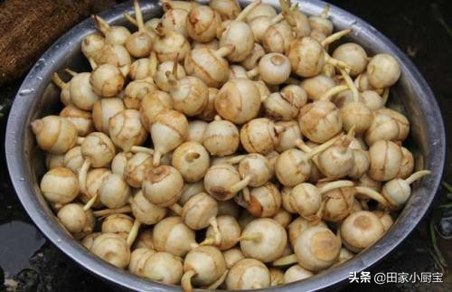 含有天然叶酸的食物,这五种食材天然叶酸高