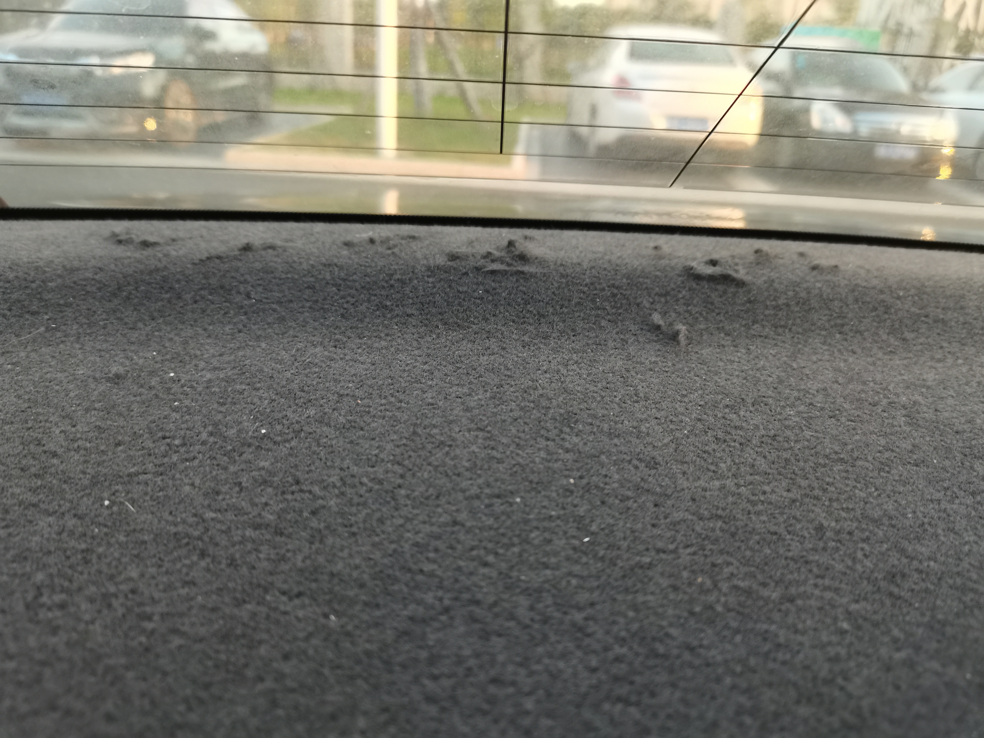 车内捕捉老鼠什么效果最佳,防老鼠进车最好的办法