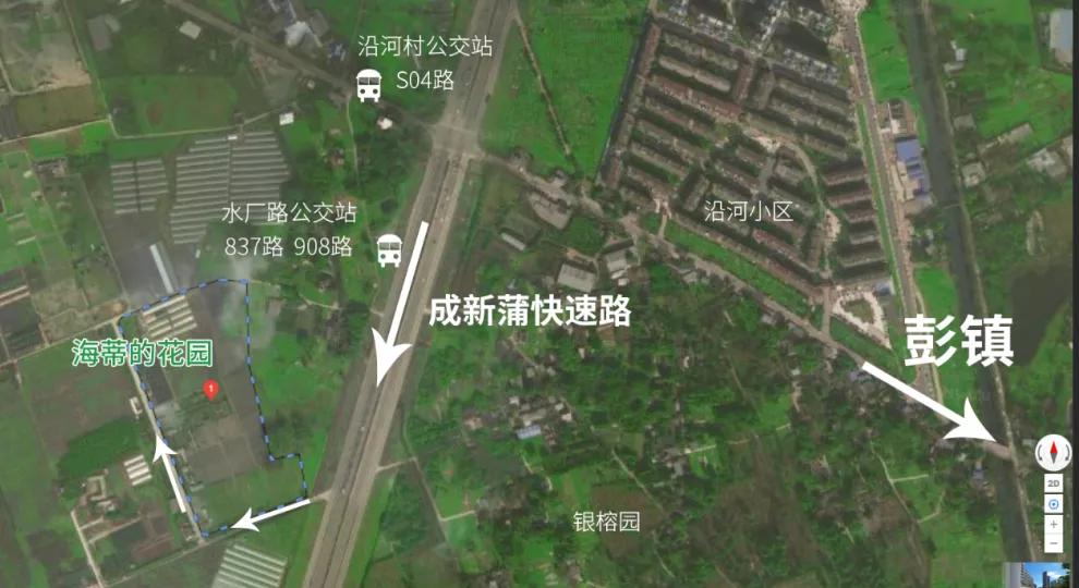 梦幻花园开园了！就在双流彭镇！免费的那种