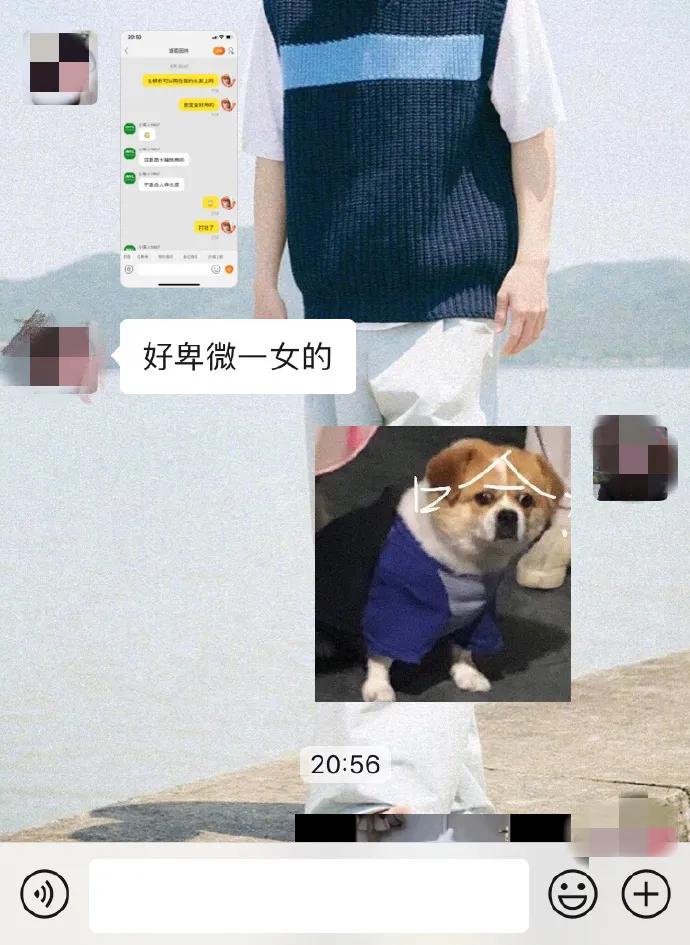 暴风哭泣第二弹,暴风哭泣后续