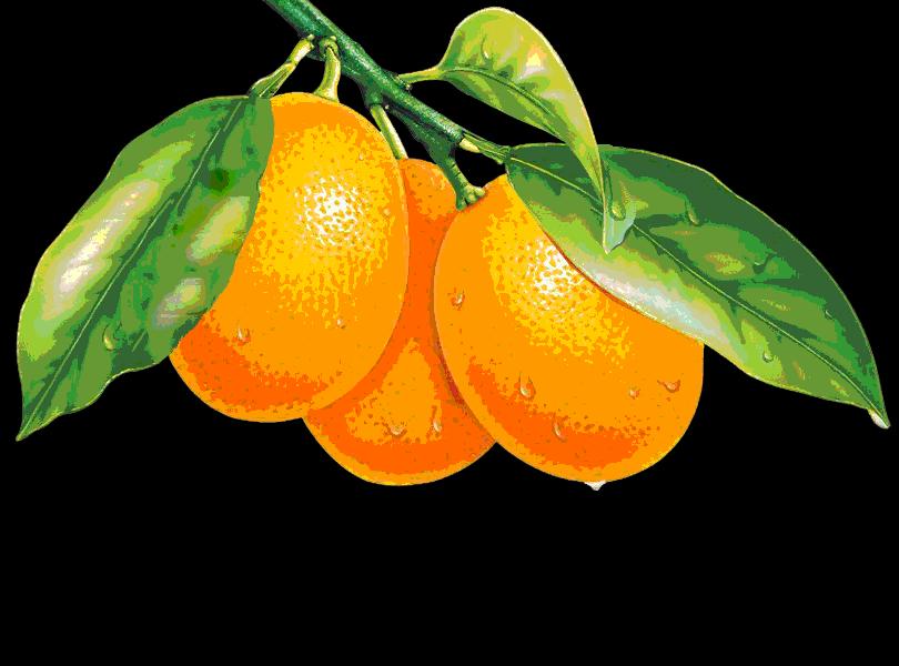 大年初五群相册，有群的都看看，太美了，这辈子见一次值了