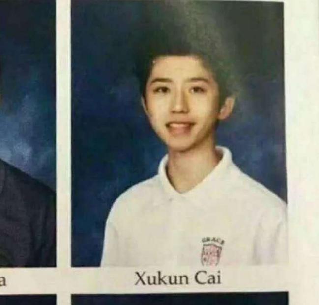 王源英语交流,外国人评价王源的英语水平