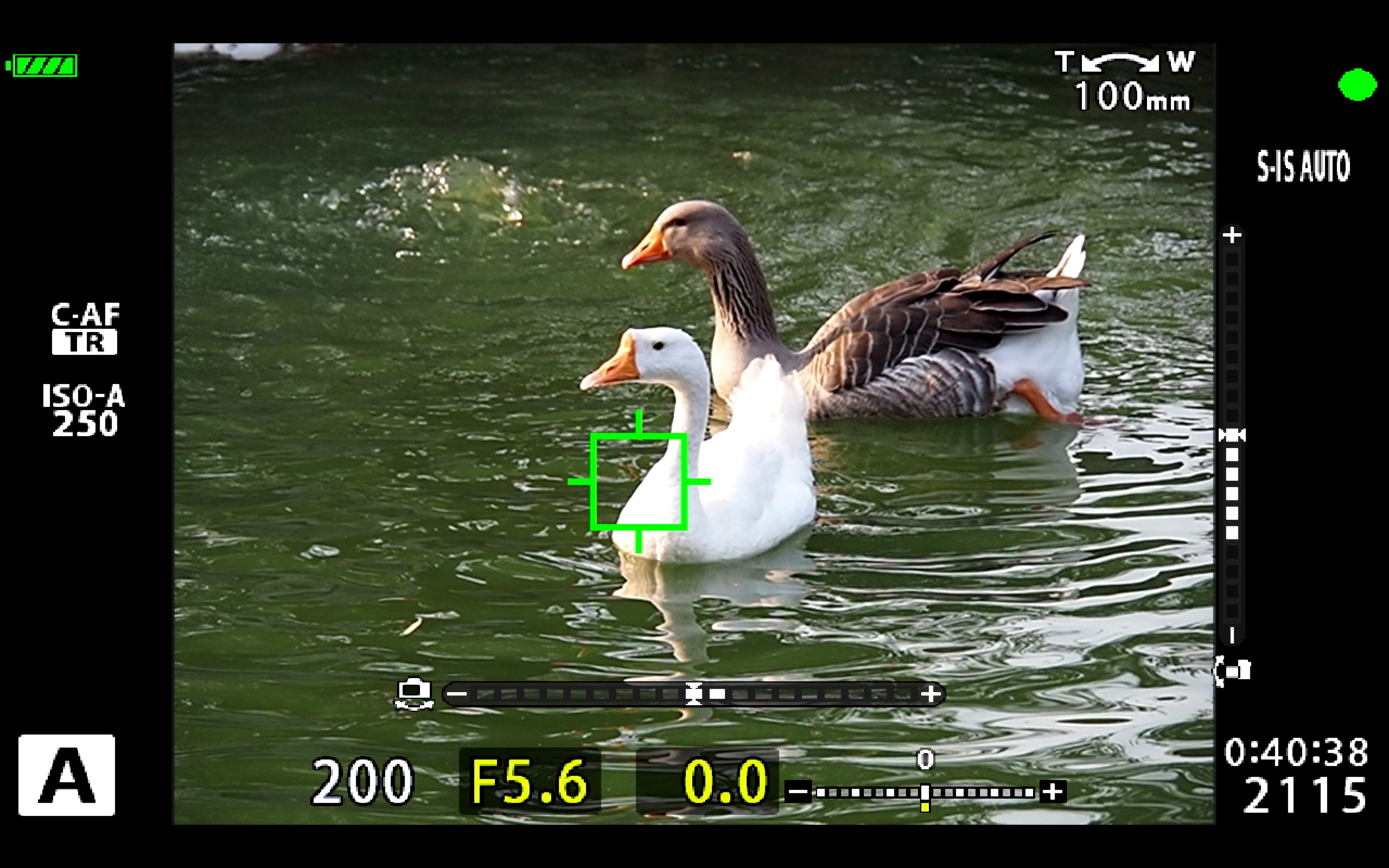 濂ユ灄宸存柉e-m5ii濂楁満璇勬祴,濂ユ灄宸存柉em5浜屼唬娣卞害璇勬祴