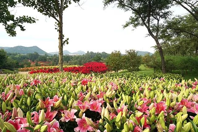 大连重阳节旅游攻略,大连九月秋游攻略